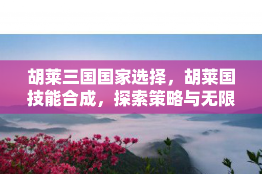 胡莱三国国家选择，胡莱国技能合成，探索策略与无限可能