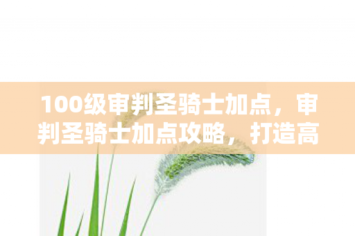 100级审判圣骑士加点，审判圣骑士加点攻略，打造高效战斗力的关键