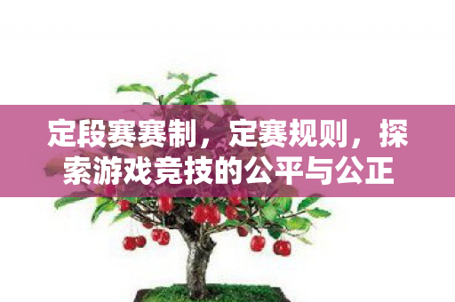 定段赛赛制，定赛规则，探索游戏竞技的公平与公正