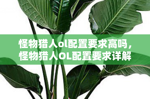 怪物猎人ol配置要求高吗，怪物猎人OL配置要求详解
