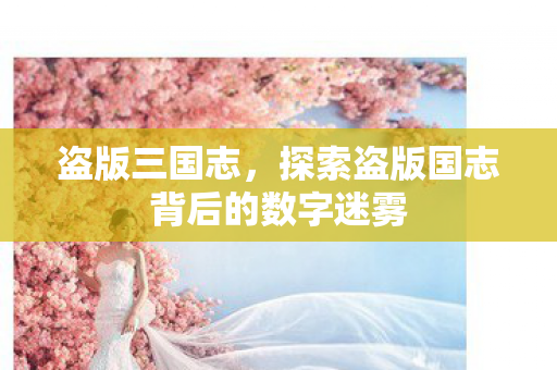 盗版三国志，探索盗版国志背后的数字迷雾