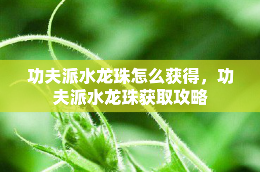 功夫派水龙珠怎么获得，功夫派水龙珠获取攻略
