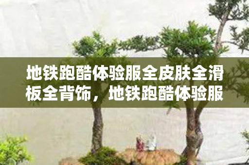 地铁跑酷体验服全皮肤全滑板全背饰，地铁跑酷体验服全皮肤全滑板，畅游无限可能的跑酷世界