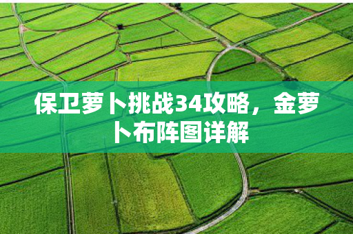 保卫萝卜挑战34攻略，金萝卜布阵图详解