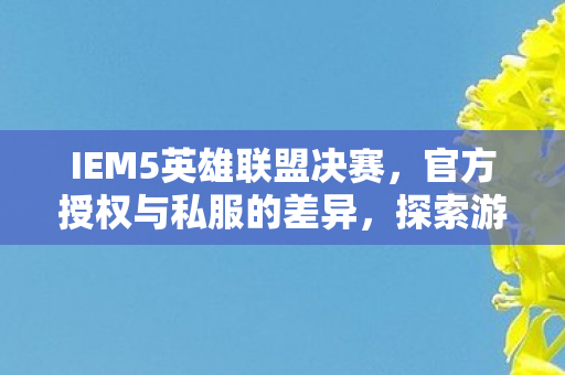 IEM5英雄联盟决赛，官方授权与私服的差异，探索游戏世界的合法与合规之路