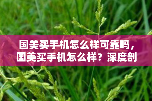 国美买手机怎么样可靠吗，国美买手机怎么样？深度剖析其优势与注意事项