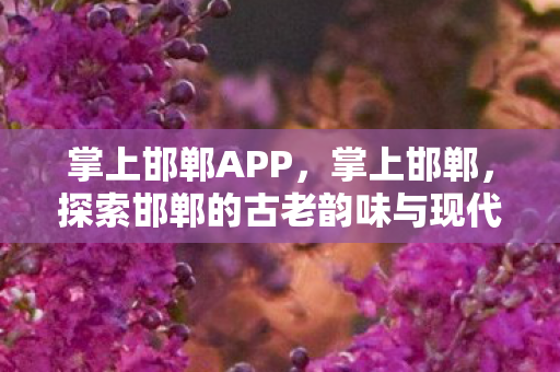 掌上邯郸APP，掌上邯郸，探索邯郸的古老韵味与现代风采