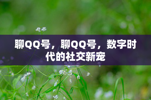 聊QQ号，聊QQ号，数字时代的社交新宠