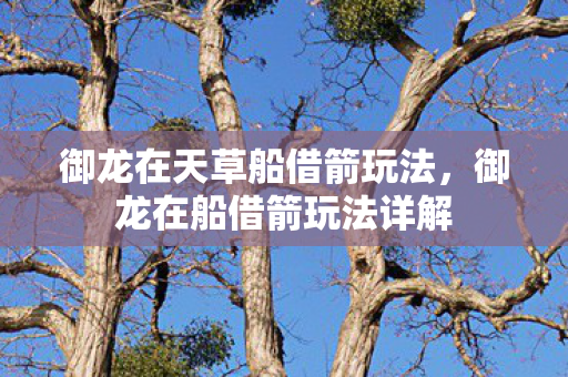 御龙在天草船借箭玩法，御龙在船借箭玩法详解