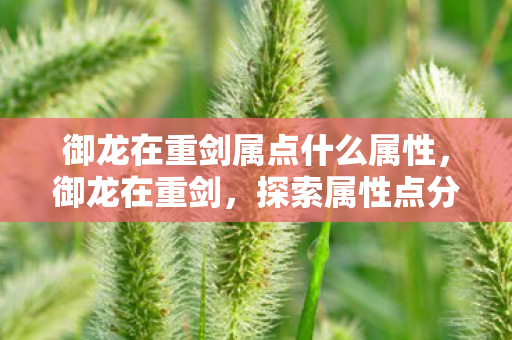 御龙在重剑属点什么属性，御龙在重剑，探索属性点分配的奥秘