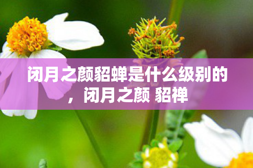 闭月之颜貂蝉是什么级别的，闭月之颜 貂禅