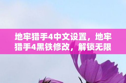 地牢猎手4中文设置，地牢猎手4黑铁修改，解锁无限可能的装备强化之路