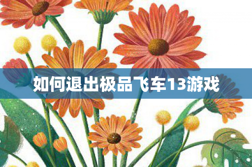 如何退出极品飞车13游戏