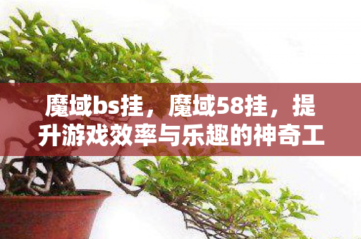 魔域bs挂，魔域58挂，提升游戏效率与乐趣的神奇工具