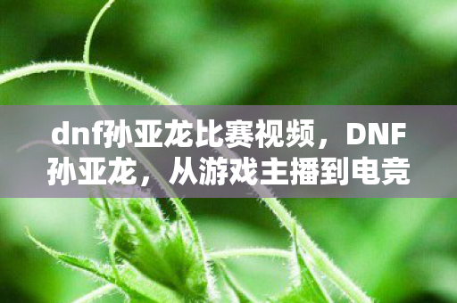 dnf孙亚龙比赛视频，DNF孙亚龙，从游戏主播到电竞圈的大佬
