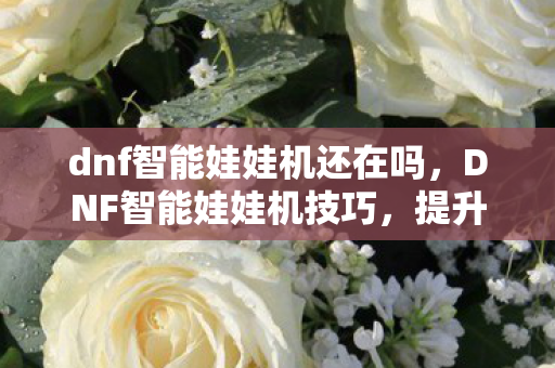 dnf智能娃娃机还在吗，DNF智能娃娃机技巧，提升中奖率的实用策略