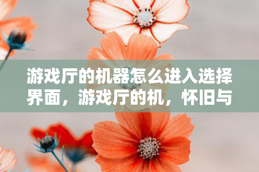 游戏厅的机器怎么进入选择界面，游戏厅的机，怀旧与未来的碰撞