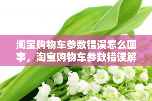 淘宝购物车参数错误怎么回事，淘宝购物车参数错误解析，如何避免与解决