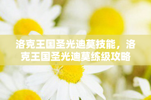 洛克王国圣光迪莫技能，洛克王国圣光迪莫练级攻略