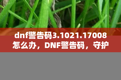 dnf警告码3.1021.17008怎么办，DNF警告码，守护游戏环境，共筑安全防线