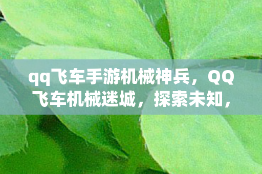 qq飞车手游机械神兵，QQ飞车机械迷城，探索未知，挑战极限