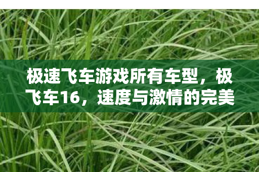 极速飞车游戏所有车型，极飞车16，速度与激情的完美结合