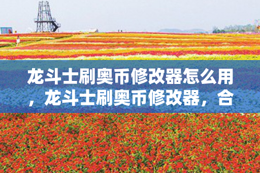 龙斗士刷奥币修改器怎么用，龙斗士刷奥币修改器，合法、安全、高效的辅助工具