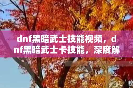 dnf黑暗武士技能视频，dnf黑暗武士卡技能，深度解析与实战应用