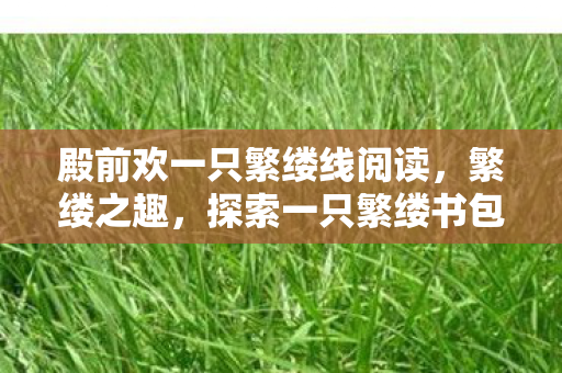 殿前欢一只繁缕线阅读，繁缕之趣，探索一只繁缕书包网的独特魅力