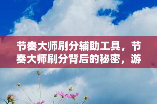 节奏大师刷分辅助工具，节奏大师刷分背后的秘密，游戏乐趣与规则的平衡