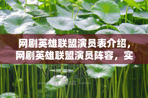 网剧英雄联盟演员表介绍，网剧英雄联盟演员阵容，实力派与偶像派的精彩碰撞