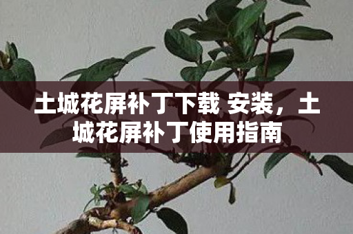 土城花屏补丁下载 安装，土城花屏补丁使用指南