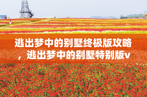 逃出梦中的别墅终极版攻略，逃出梦中的别墅特别版v1.4攻略
