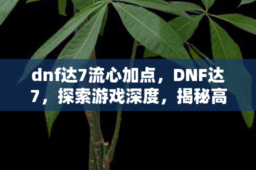 dnf达7流心加点，DNF达7，探索游戏深度，揭秘高端玩家之路