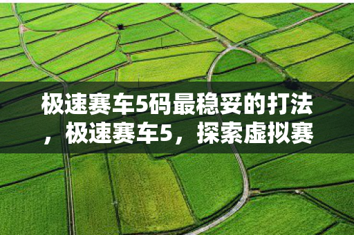 极速赛车5码最稳妥的打法，极速赛车5，探索虚拟赛车的无限可能