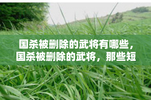 国杀被删除的武将有哪些，国杀被删除的武将，那些短暂而辉煌的存在