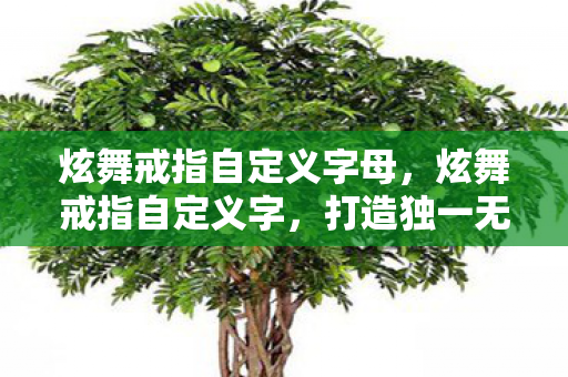 炫舞戒指自定义字母，炫舞戒指自定义字，打造独一无二的浪漫誓言