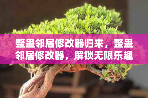 整蛊邻居修改器归来，整蛊邻居修改器，解锁无限乐趣的创意工具