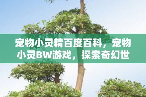 宠物小灵精百度百科，宠物小灵BW游戏，探索奇幻世界的奇妙之旅