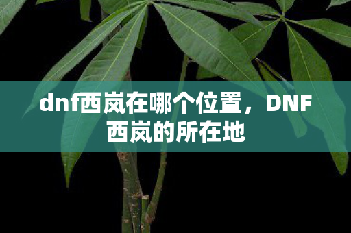 dnf西岚在哪个位置，DNF西岚的所在地