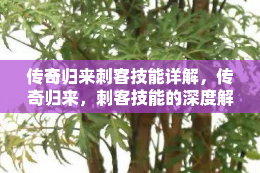 传奇归来刺客技能详解，传奇归来，刺客技能的深度解析