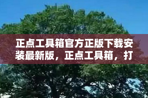 正点工具箱官方正版下载安装最新版，正点工具箱，打造高效便捷的游戏体验
