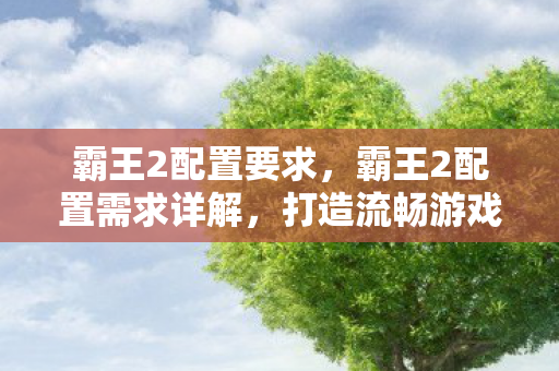 霸王2配置要求，霸王2配置需求详解，打造流畅游戏体验的硬件指南
