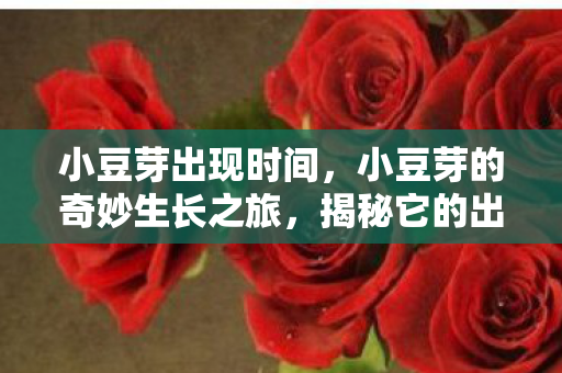 小豆芽出现时间，小豆芽的奇妙生长之旅，揭秘它的出现时间与成长奥秘