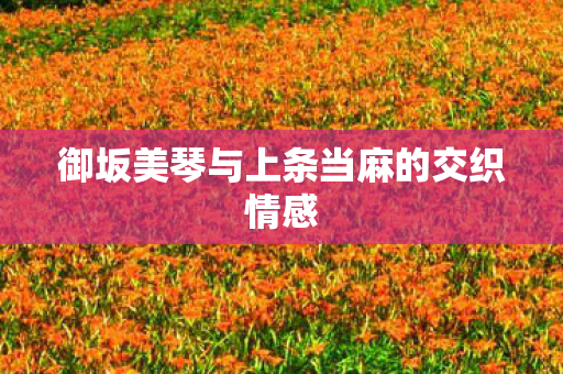 御坂美琴与上条当麻的交织情感 御坂美琴与上条当麻的交织情感