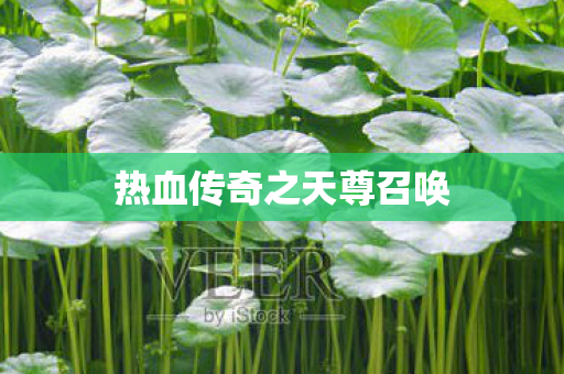 热血传奇之天尊召唤