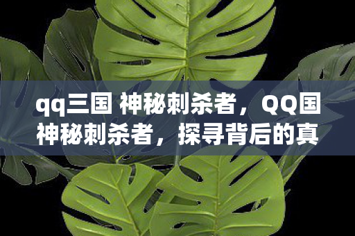 qq三国 神秘刺杀者，QQ国神秘刺杀者，探寻背后的真相