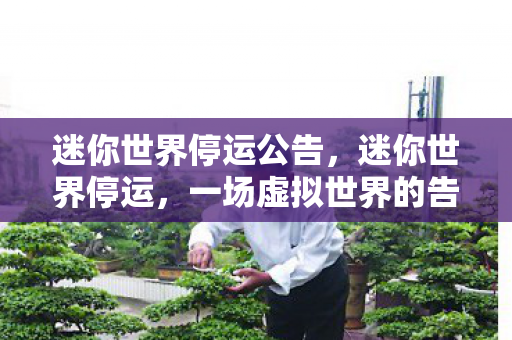 迷你世界停运公告，迷你世界停运，一场虚拟世界的告别