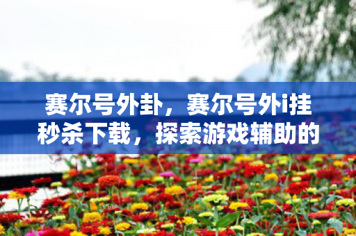赛尔号外卦，赛尔号外i挂秒杀下载，探索游戏辅助的边界