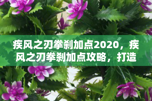 疾风之刃拳刹加点2020，疾风之刃拳刹加点攻略，打造最强拳刹